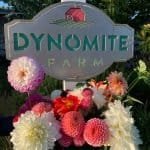 Dynomite Farm - Santa Cruz, California