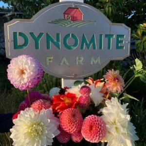 Dynomite Farm - Santa Cruz, California